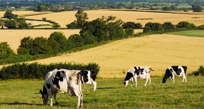 Farm vets to launch sustainability policy